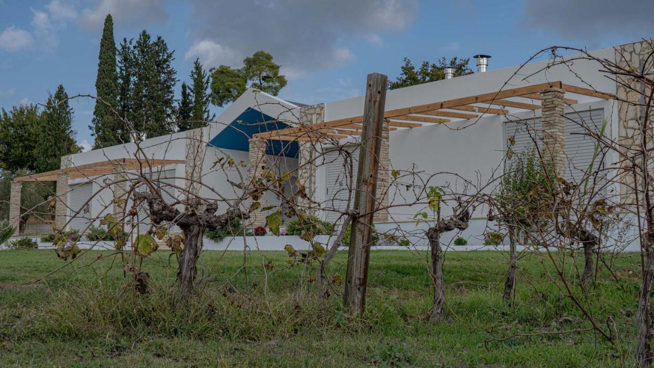 Atrium Vinea Brintziki Winery Apartment Smila Exterior photo