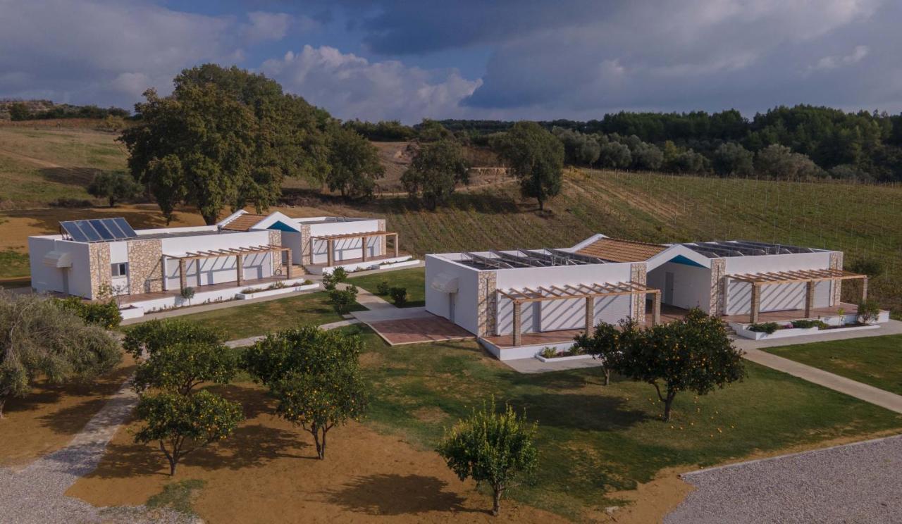 Atrium Vinea Brintziki Winery Apartment Smila Exterior photo
