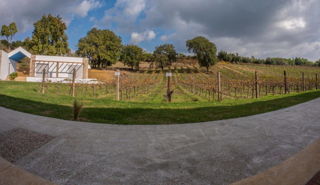 Atrium Vinea Brintziki Winery Apartment Smila Exterior photo