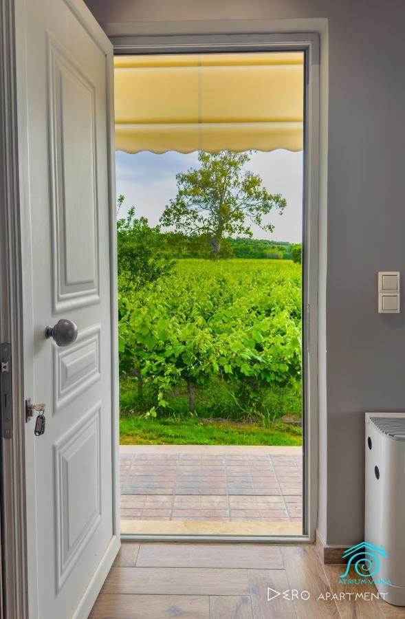 Atrium Vinea Brintziki Winery Apartment Smila Exterior photo